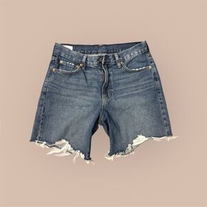 GAP Blue Distressed Jean Shorts